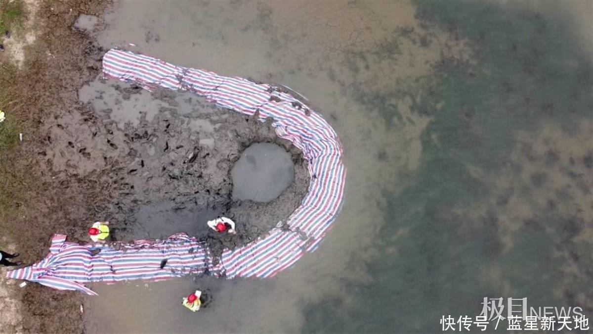 坠入浙江嘉善鱼塘的不明物体：事发4日仍未挖到，是陨石的可能性不大