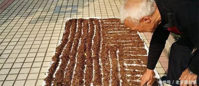 春天换盆“旧土”怎么办加2种“东西”，养花肥沃疏松，能爆盆