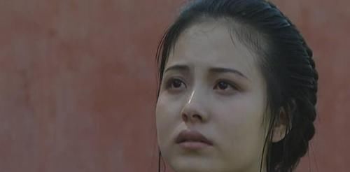 郑春华|《雍正王朝》中，康熙都已经放过了郑春华，为何太子却不放手？