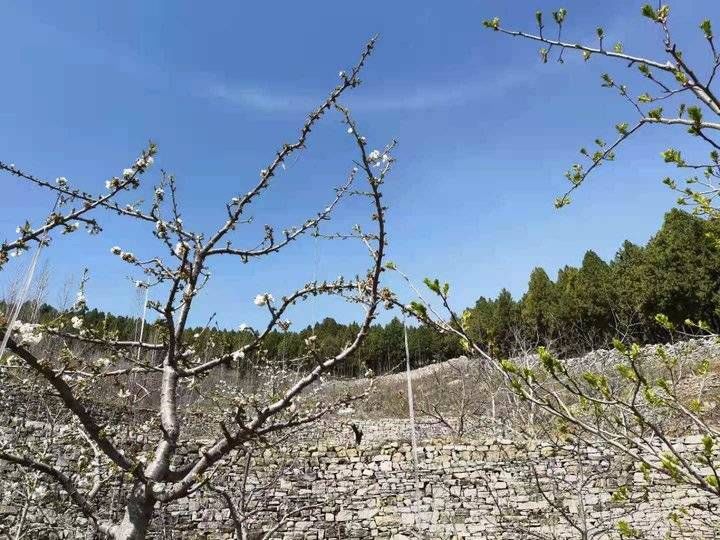 闰土|城子山小纪