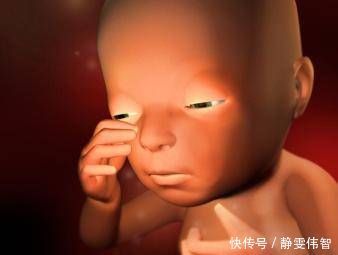 花青素|这些东西在怀孕期间经常吃,这会使胎儿的眼睛变漂亮孕妇可以试试