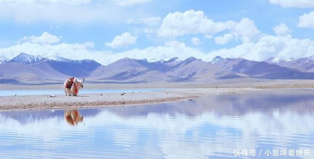 西藏|中国最美六大草原:每一个都直击心灵,你去过几个地方?