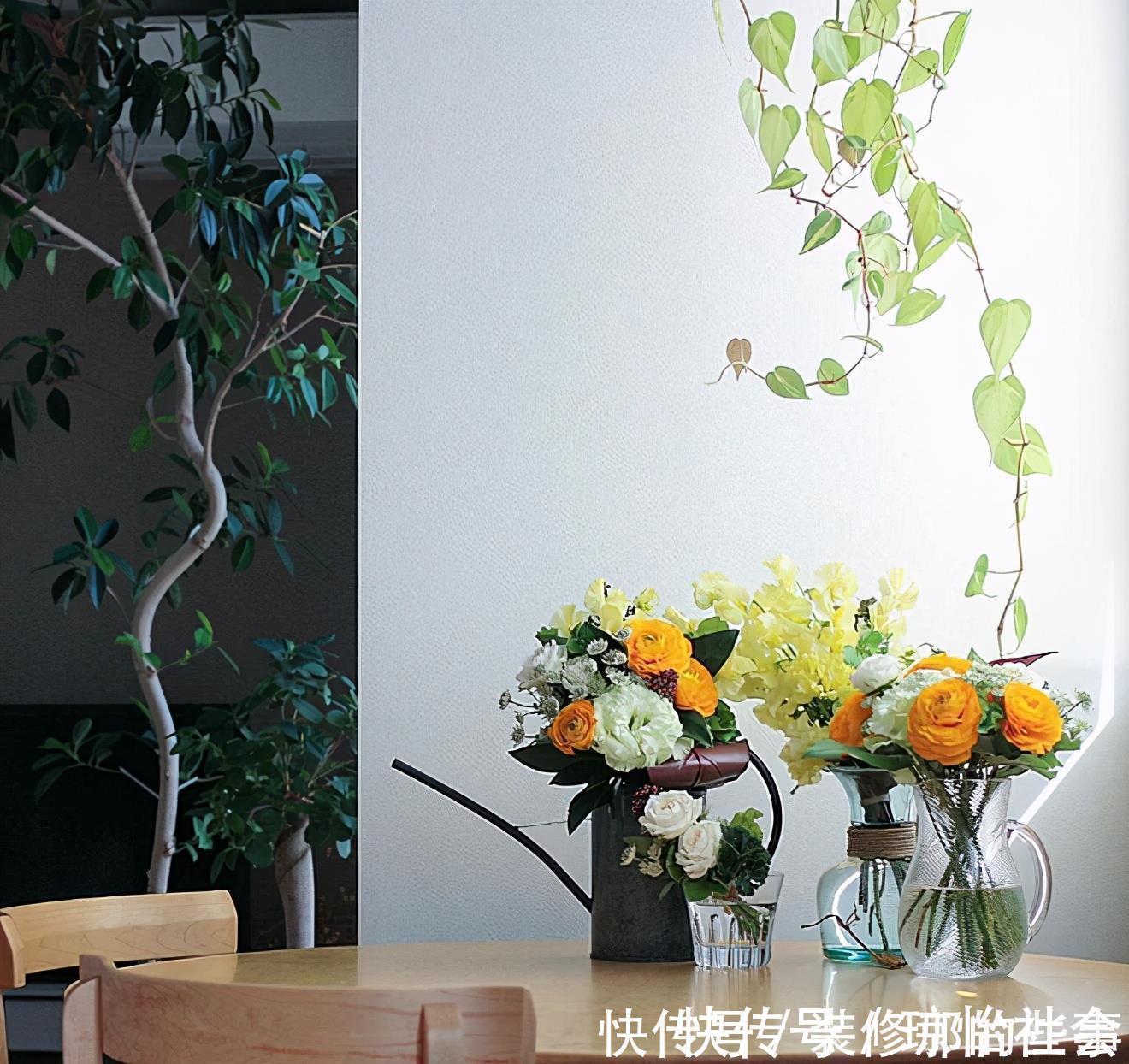 小两口之家,全屋布满绿植鲜花,把生活过成了诗,太美太治愈了