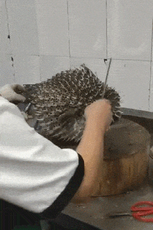 |搞笑GIF:还是我老婆持家,这不又省下几块钱的洗头钱!