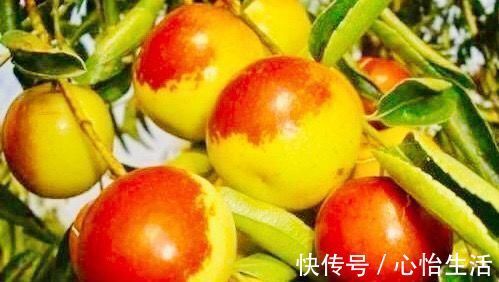 人体|会吃的人最健康，3种食物不错过，解热镇痛，身体棒棒哒！