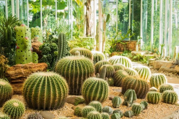 治疗|夏天膝盖疼痛难忍，原是因为滑膜炎教你巧用一物，疼痛快远离