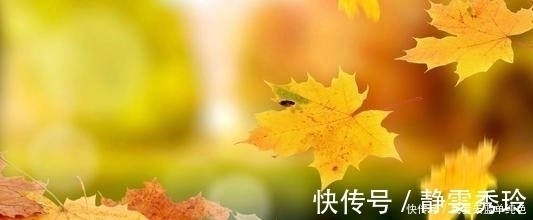 土象星座|文雅秀气的星座，却总是被忽视，在角落中，偷偷积累，不简单