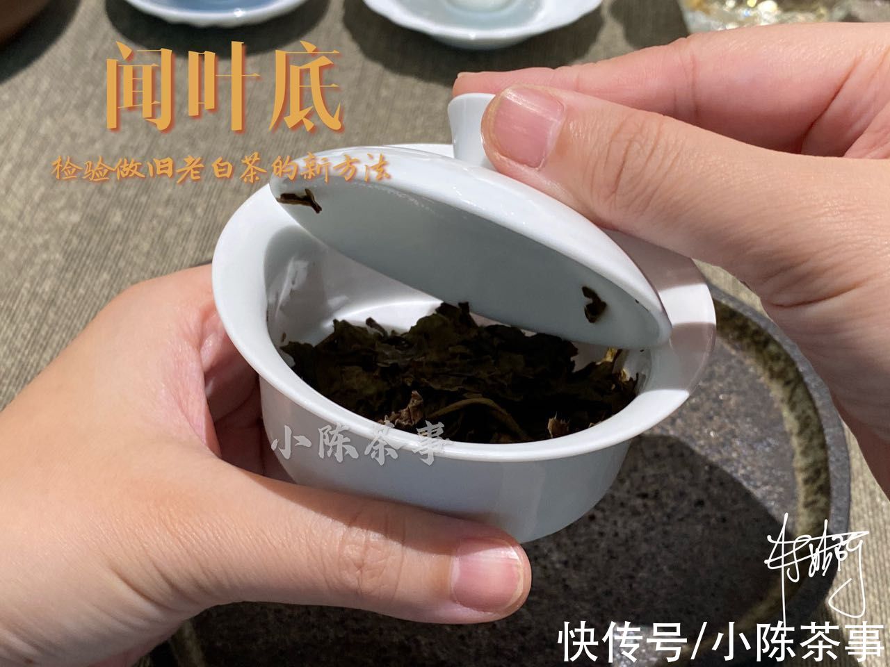 白茶|“一眼假”已经过时，高仿A货老白茶悄然降临，教你一招鉴定真伪