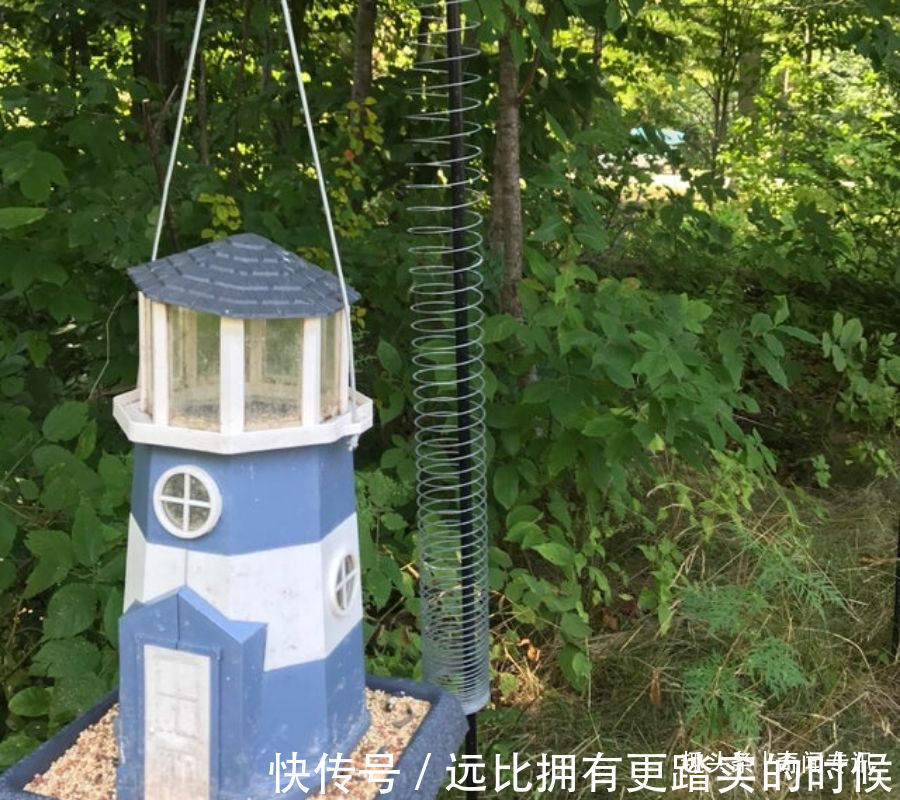 大概只有天才才能想出这些有用的生活冷知识吧,看完总有一种冲动