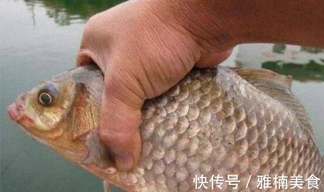 野钓打窝我绝不乱来牢牢记住这“八字诀”,不管在哪钓都能过瘾