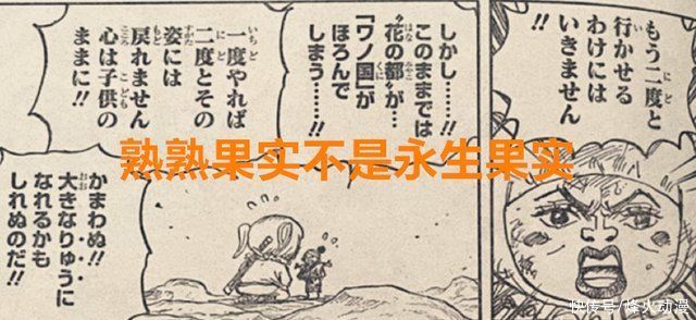 桃之助|海贼王1021话:罗宾战力排前三了，熟熟果实相当于是永生果实?