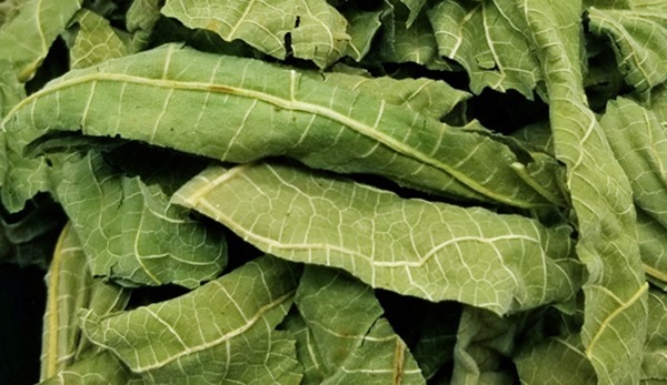 紫草油|民间老中医6种皮肤止痒土偏方,个个都见效,不妨试试!