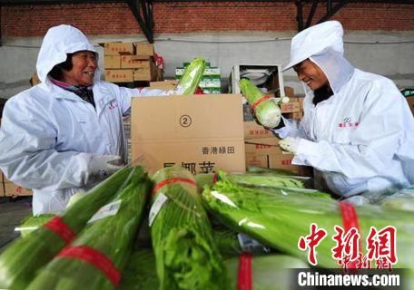 建立|河北建立冷链食品追溯管理系统 加强进口冷链食品监管