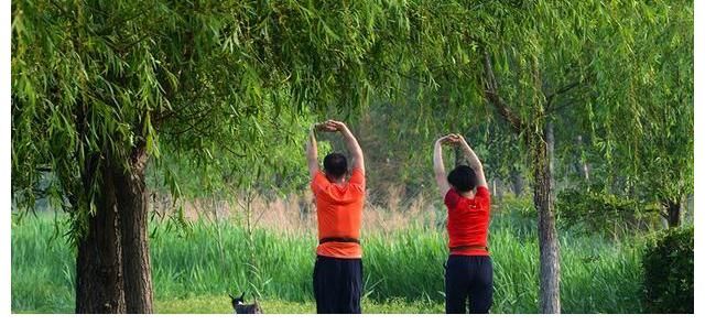 脾胃|怎么能长寿怎么生活能长寿