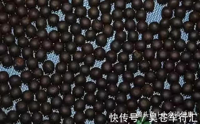 四白|脾虚比肾虚严重!脾虚才湿气重?去湿气最好的中成药你知道几个?