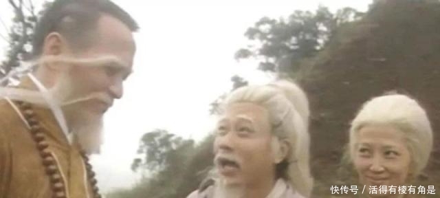 段皇爷|瑛姑对不起一灯大师为什么还要找他报仇