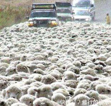 |搞笑GIF:真是的,你跟我一个配钥匙的装什么装!