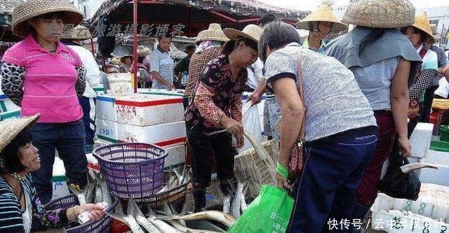 五种鱼都不能养,碰上就买吧!饮食过量对健康有益
