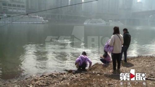 低薪|暖阳太诱人 市民三五成群江边撒欢