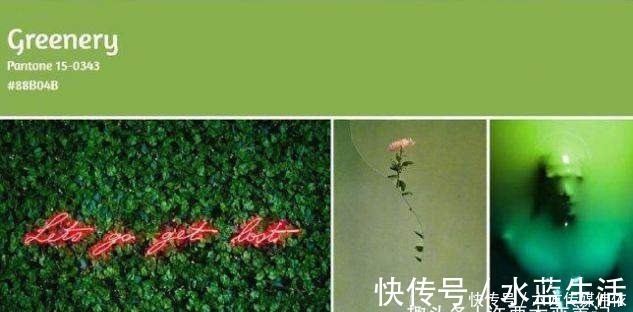 颜色 不管大衣还是羽绒服,女人少买黑色,这3种颜色更高级,洋气减龄