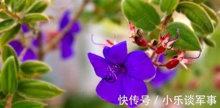 旧爱|1周后,桃花重现,前任回归,携手旧爱,真心相随,收获命中姻缘