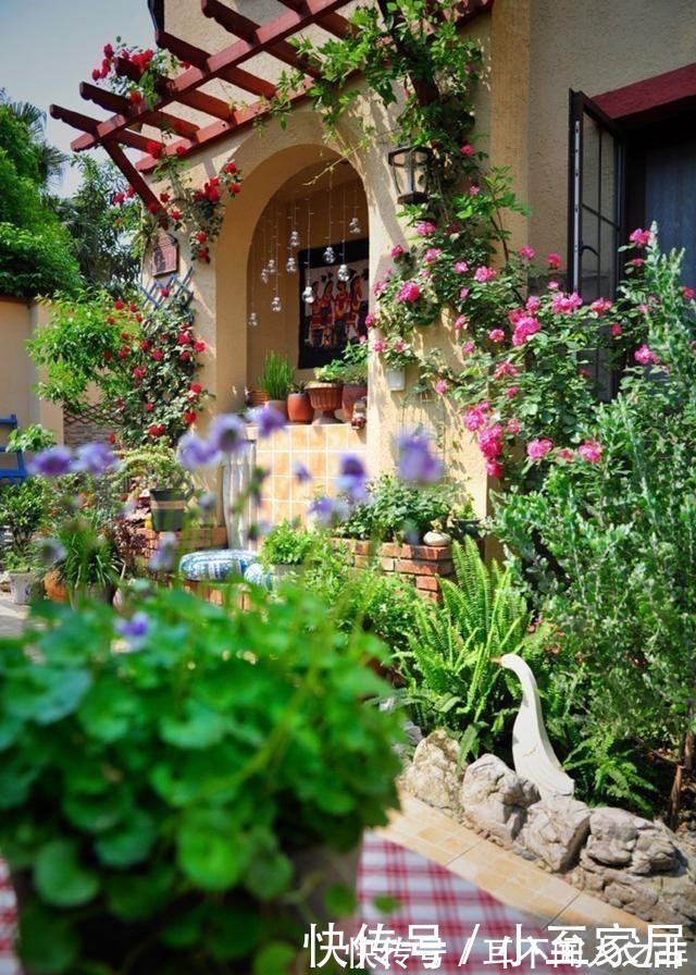 开花|这6种花,记住晚上冻,白天晒,开花特别快!