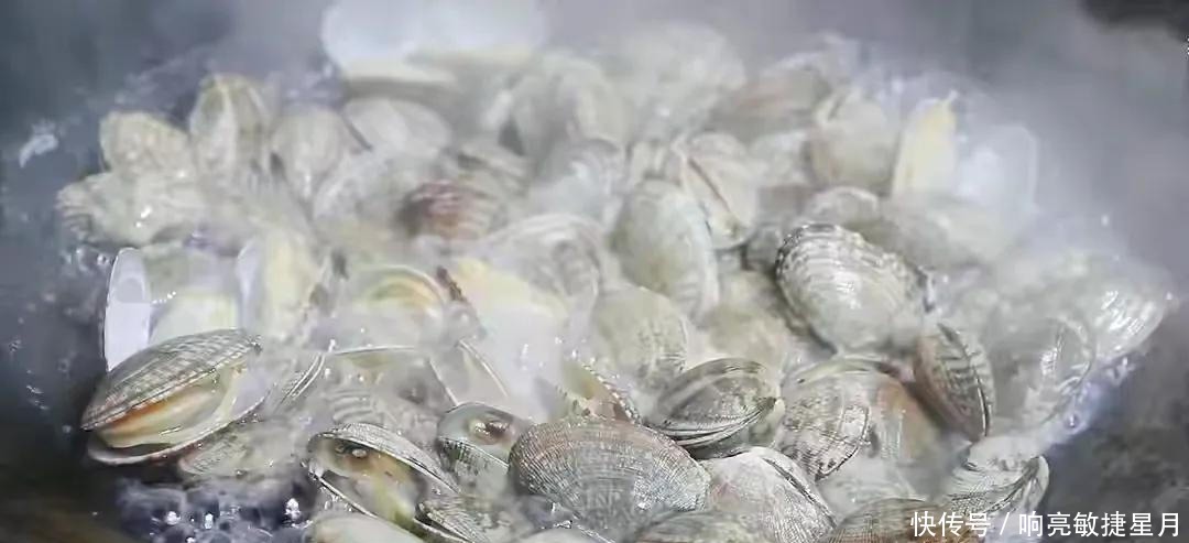 老板|清洗花蛤,直接加盐就错了,海鲜老板教我这三招,花蛤想有沙都难!