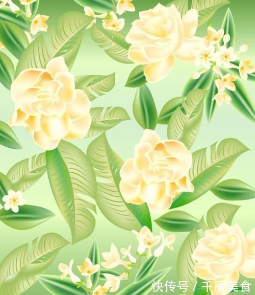 这种皮做成的肥水,养茉莉花,一个月长花苞,连开两次