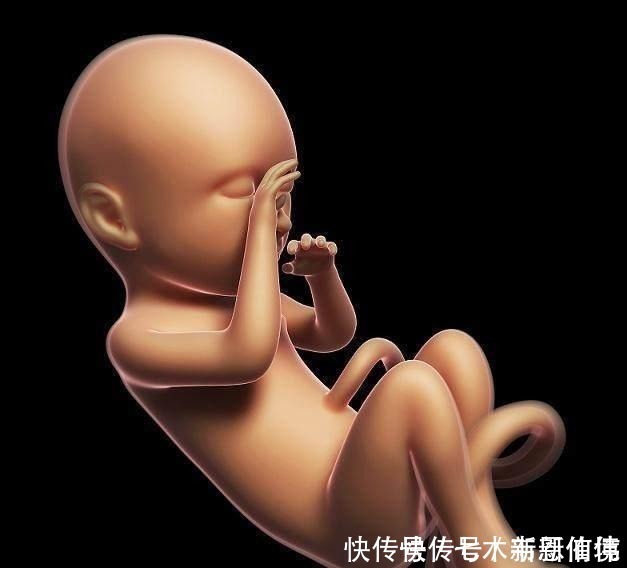 坏事|四维做到一半,小家伙竟然在妈妈腹中干“坏事”,连医生都乐了