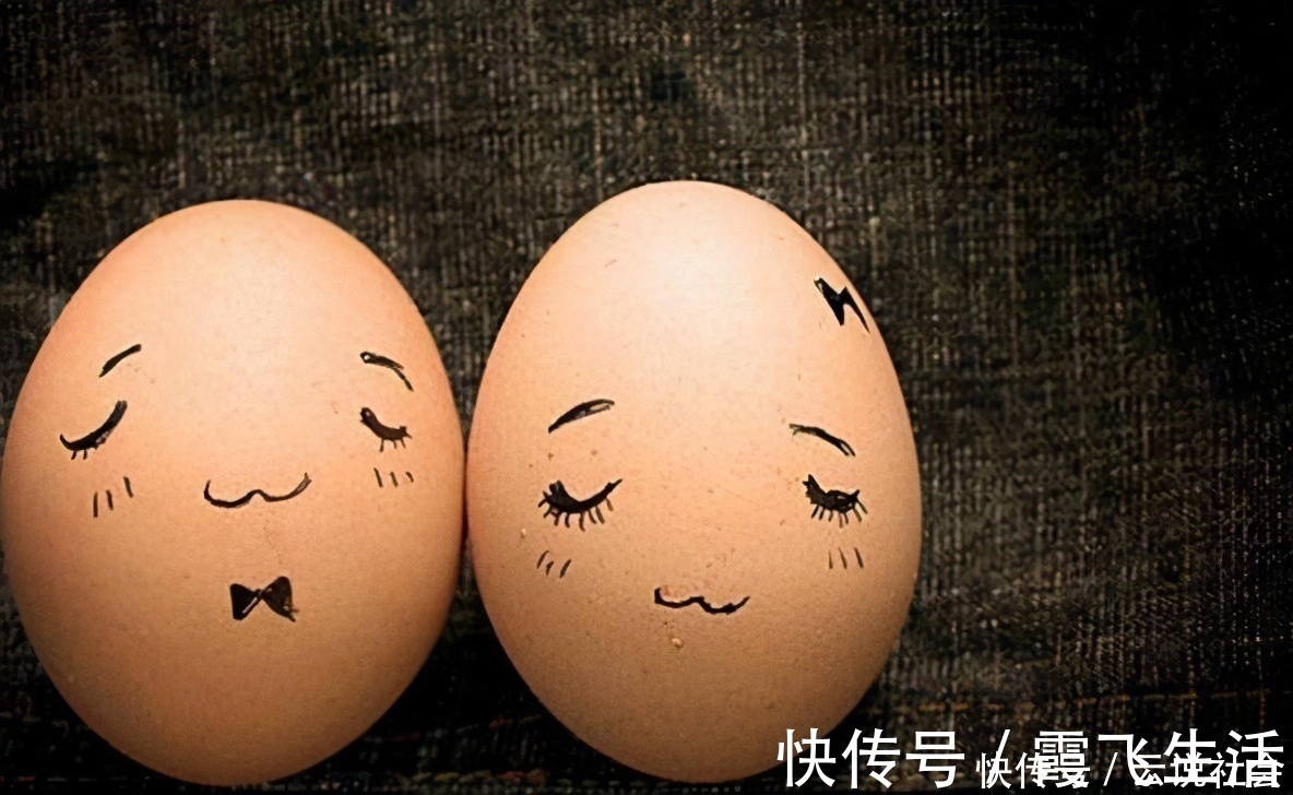 蛋黄|狗狗吃“鸡蛋”好处多,但怎么吃要注意,小心吃出问题