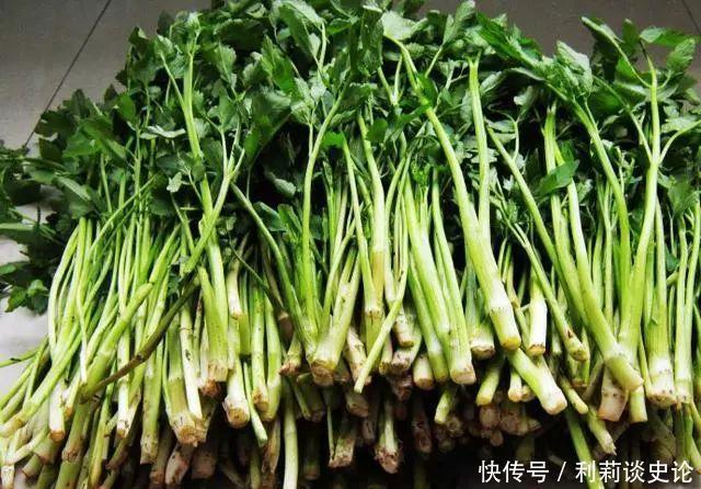 那些年吃过的野菜!农村真正的野味!