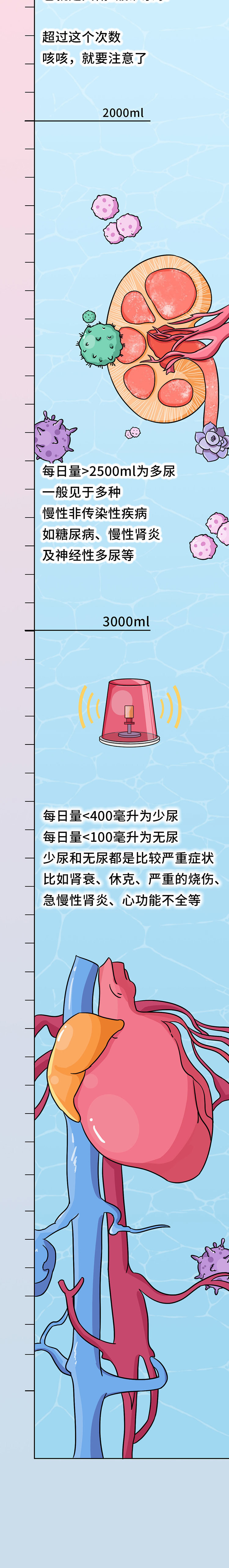 尿液的颜色越浅越好？尿越多说明肾脏越健康？尿液的秘密一文说清