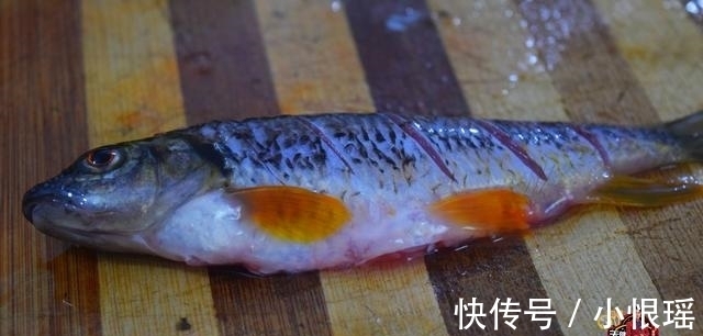 做法|红烧鱼最好吃的家庭做法，简单美味又下饭，看看你喜欢吃不？