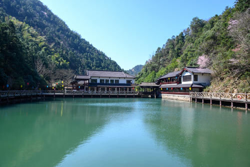 杭州私藏的小众赏樱胜地，山间的野樱花让人沉醉，你去过了吗？