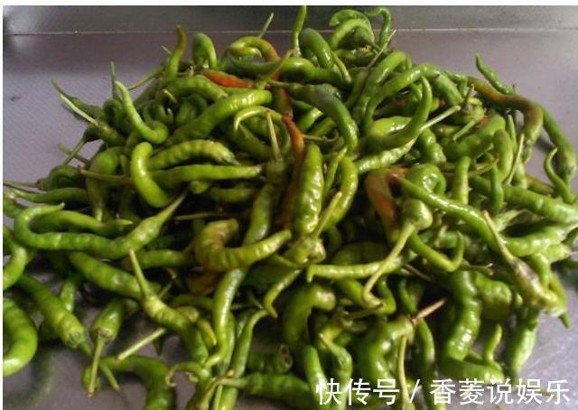 青辣椒|婆婆把青辣椒塞进坛子里，不放一滴水，一周后全家抢着吃