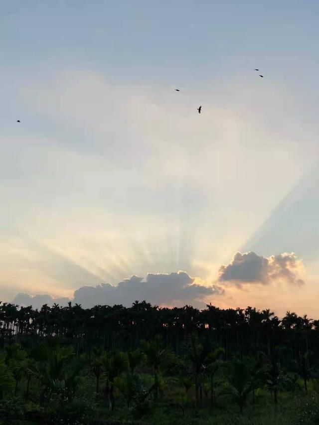 任我行|秋日诗词22首:但怜秋色催花去，已是雁声回故乡