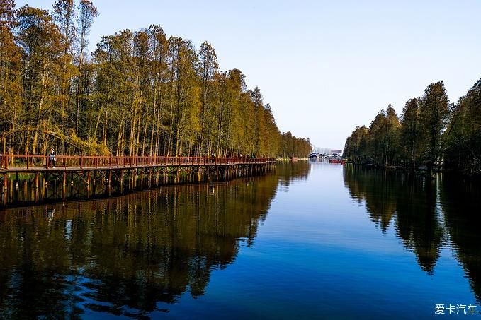 中年|春暖花开游江南-千垛景区水上森林之旅