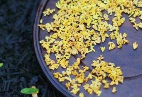 功效|用它泡水喝,香香的、健脾养胃有奇效,不花一分钱!