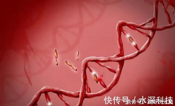 智商|夫妻哪种血型生出的孩子智商高若是这种组合,可能生出个学霸