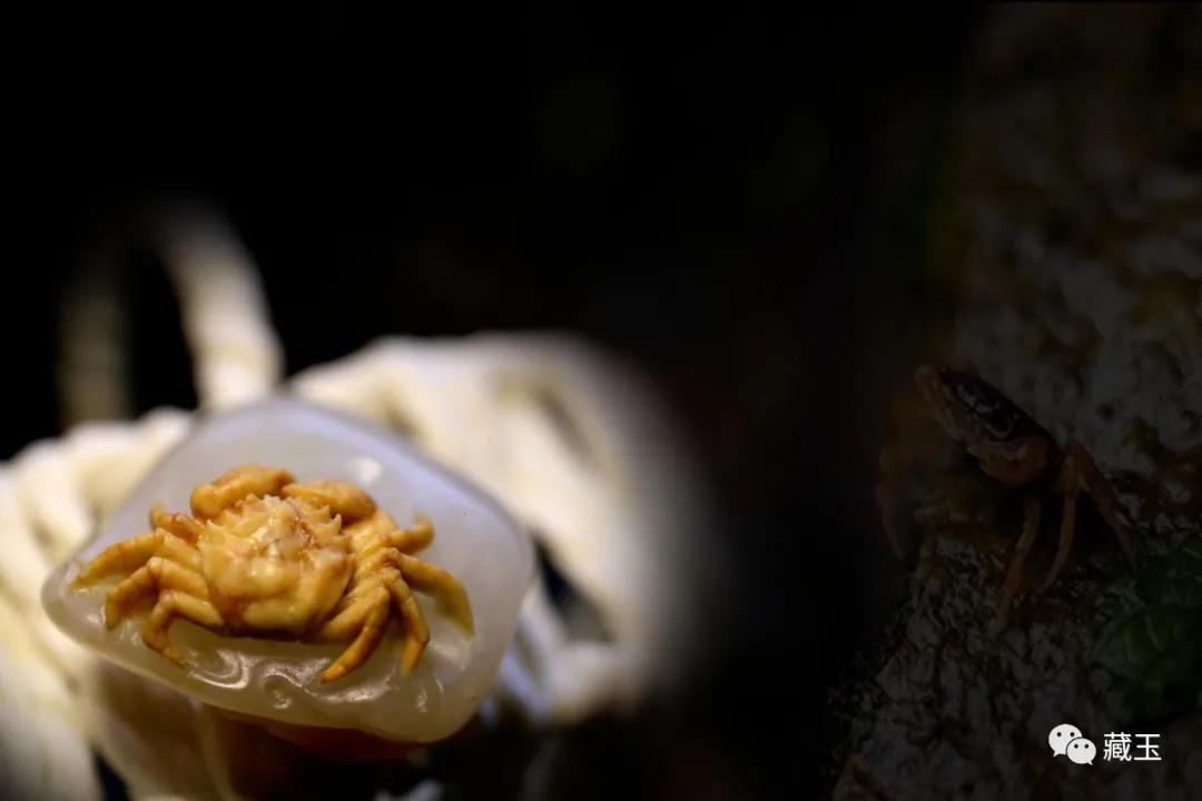  死僵|僵边出羊脂，一块带僵料是如何价格翻10倍的