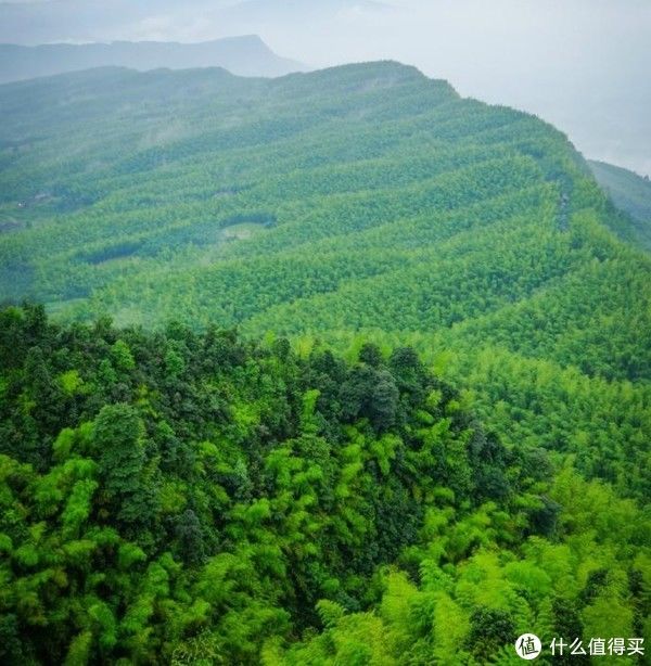 跟着酒水去旅行，盘点云贵川渝藏代表性酒水品牌及所在地风土人情。