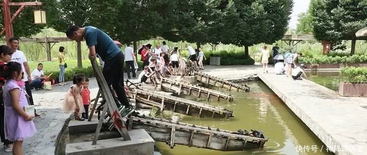 黄河岸边有一种宝贝,如果不加以保护,相信很快就看不到了