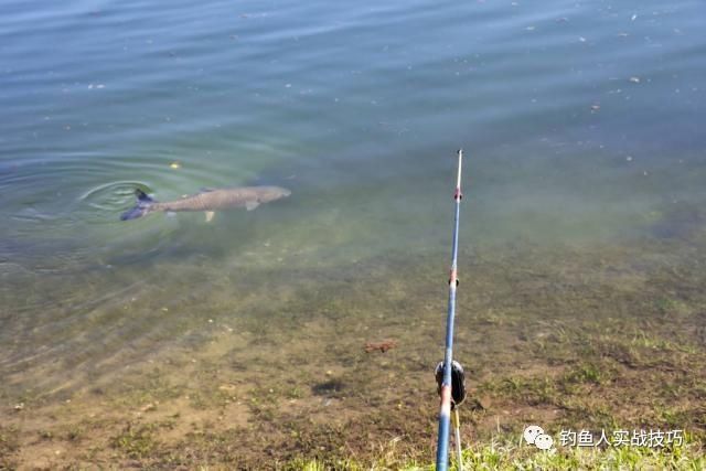 钓鱼老是空军,掌握这几个细节,新手也能爆护