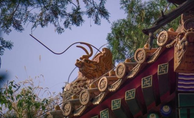 佳人|唐朝一才子,因寻觅佳人未果,挥笔写下一首情诗,流传千古