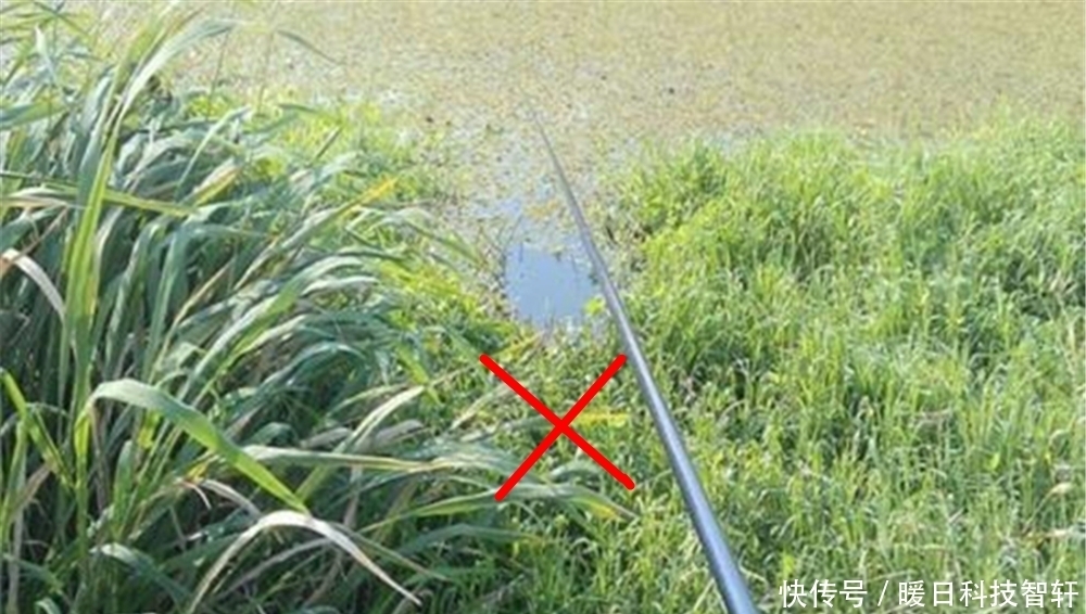 夏季|夏季钓鱼困难多,5种天气别出门,2种钓位不下竿,不然10有9空