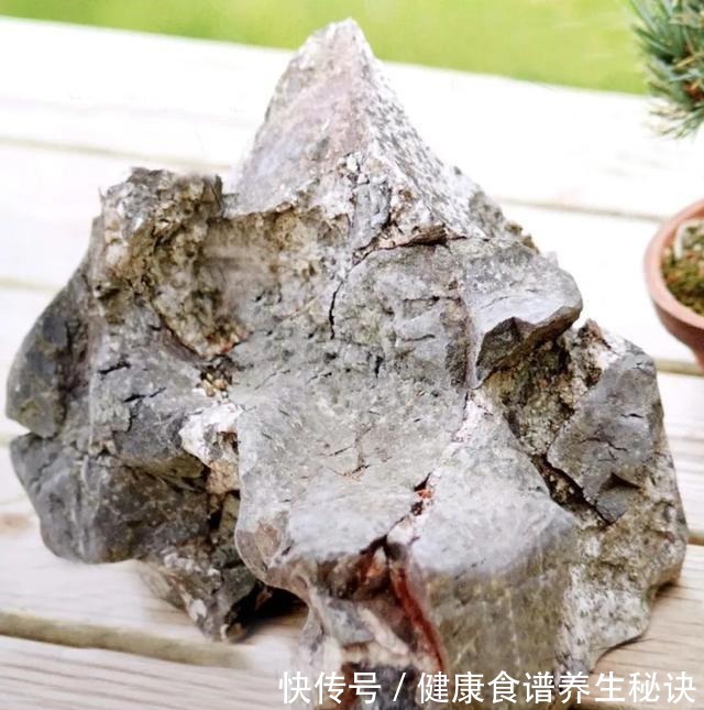 “岩石与树枝”一步步完美契合，叹服附石盆景的魅力无人能挡！