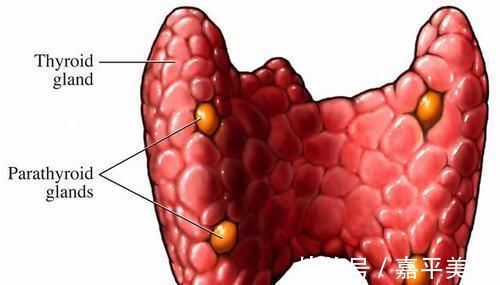 甲状腺结节|甲状腺结节可以自愈吗提醒1黄、3绿要忌口，身体慢慢变好