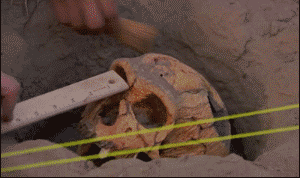 |搞笑GIF:别装了 我知道你就是故意的