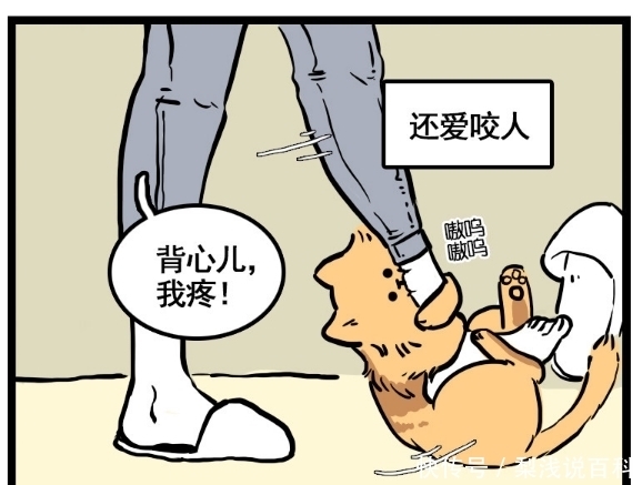 漫画|搞笑漫画：和自家的萌猫通了电，15岁少女有点怀疑人生啊！