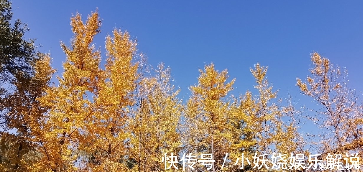 学生时代|处女座：纵使千人千面，但向来活得清醒，眼眸有星辰，心中有山海